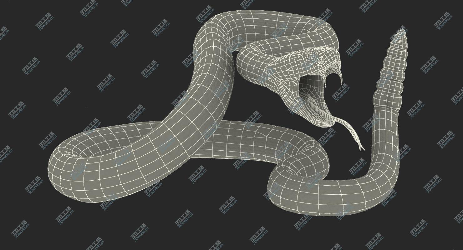 images/goods_img/202104093/Light Rattlesnake Attack Pose 3D/4.jpg